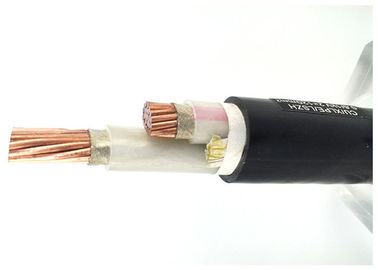 De Kabel van twee Kerncei 60502-1 | XLPE-de Kabel Cu-Leider van de Isolatiemacht/XLPE/pvc
